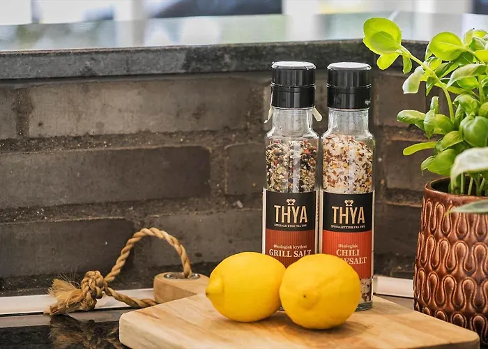 Bv242-blavand-toldbodvej-14-b Prázdninový dům *