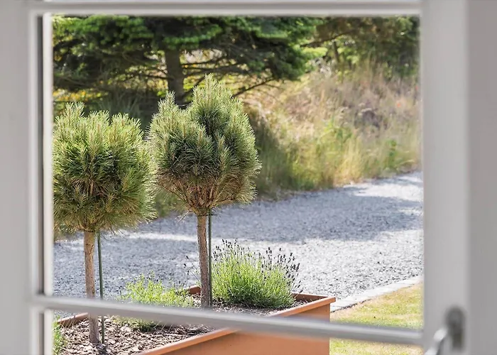 Bv242-blavand-toldbodvej-14-b